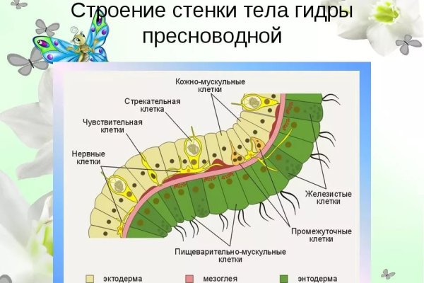 Кракен даркнет онион